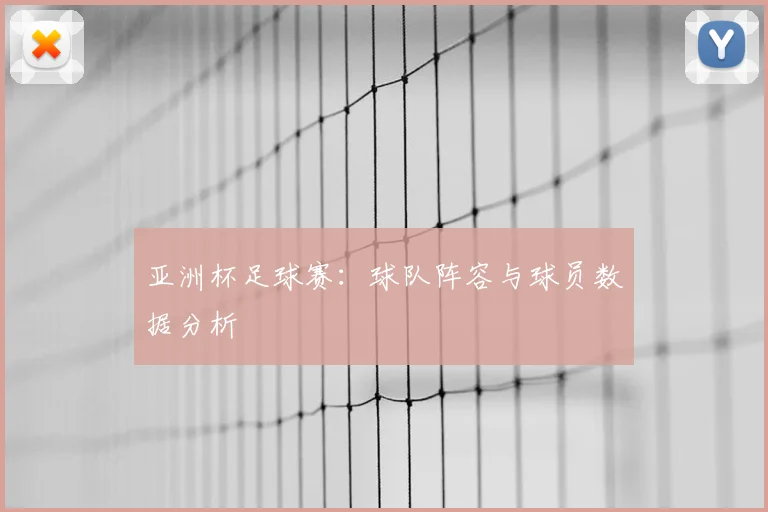 亚洲杯足球赛：球队阵容与球员数据分析