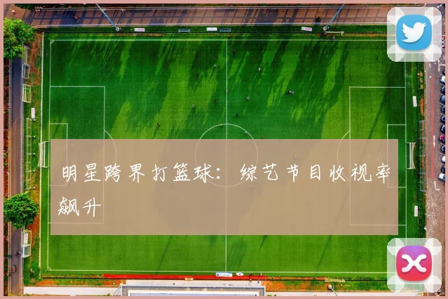 明星跨界打篮球：综艺节目收视率飙升