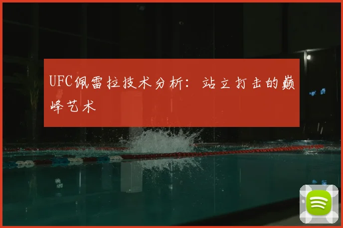 UFC佩雷拉技术分析：站立打击的巅峰艺术