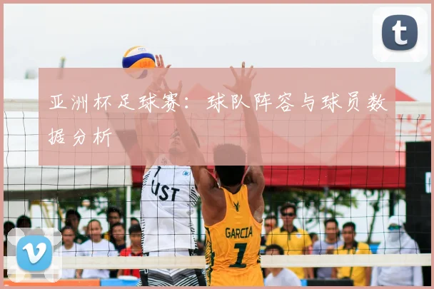 亚洲杯足球赛：球队阵容与球员数据分析