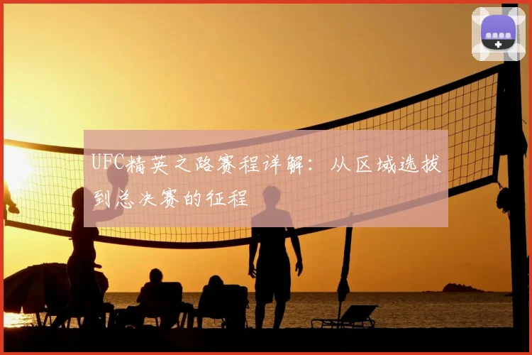 UFC精英之路赛程详解：从区域选拔到总决赛的征程