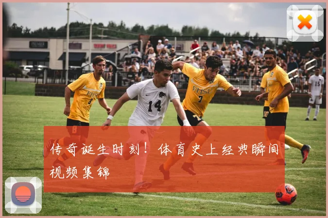 传奇诞生时刻！体育史上经典瞬间视频集锦