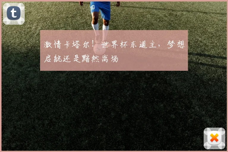 激情卡塔尔！世界杯东道主，梦想启航还是黯然离场