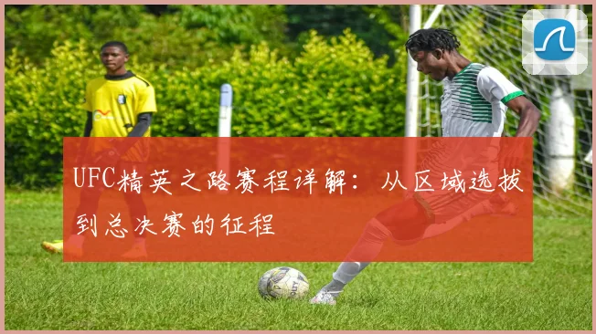 UFC精英之路赛程详解：从区域选拔到总决赛的征程