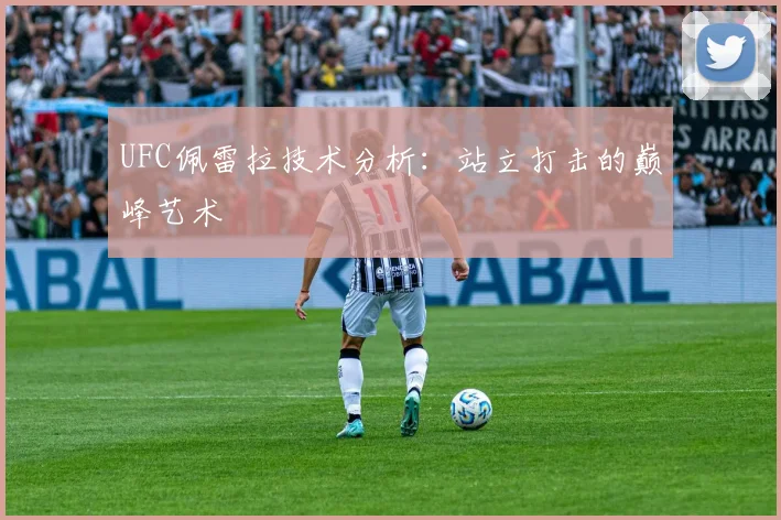 UFC佩雷拉技术分析：站立打击的巅峰艺术
